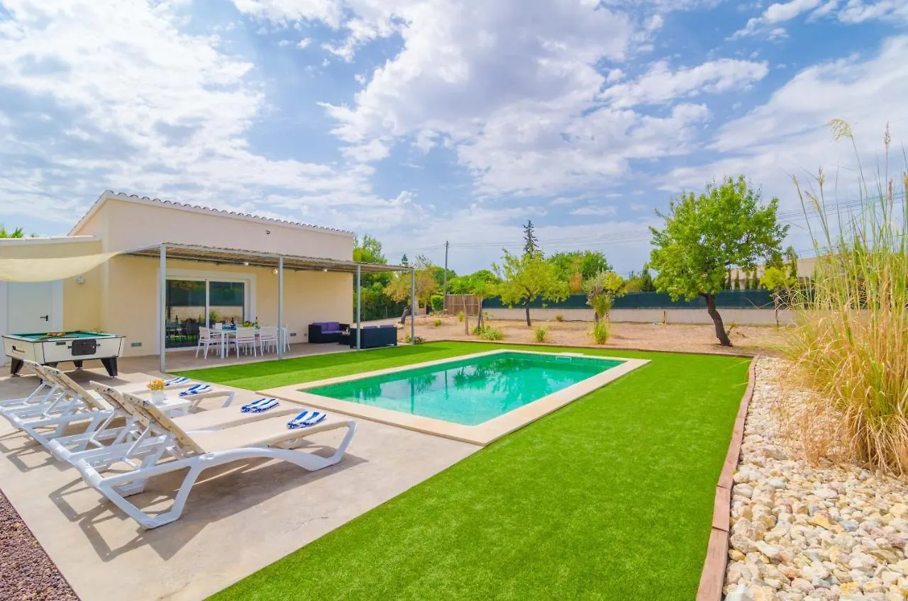 Noguer Villa Lloseta